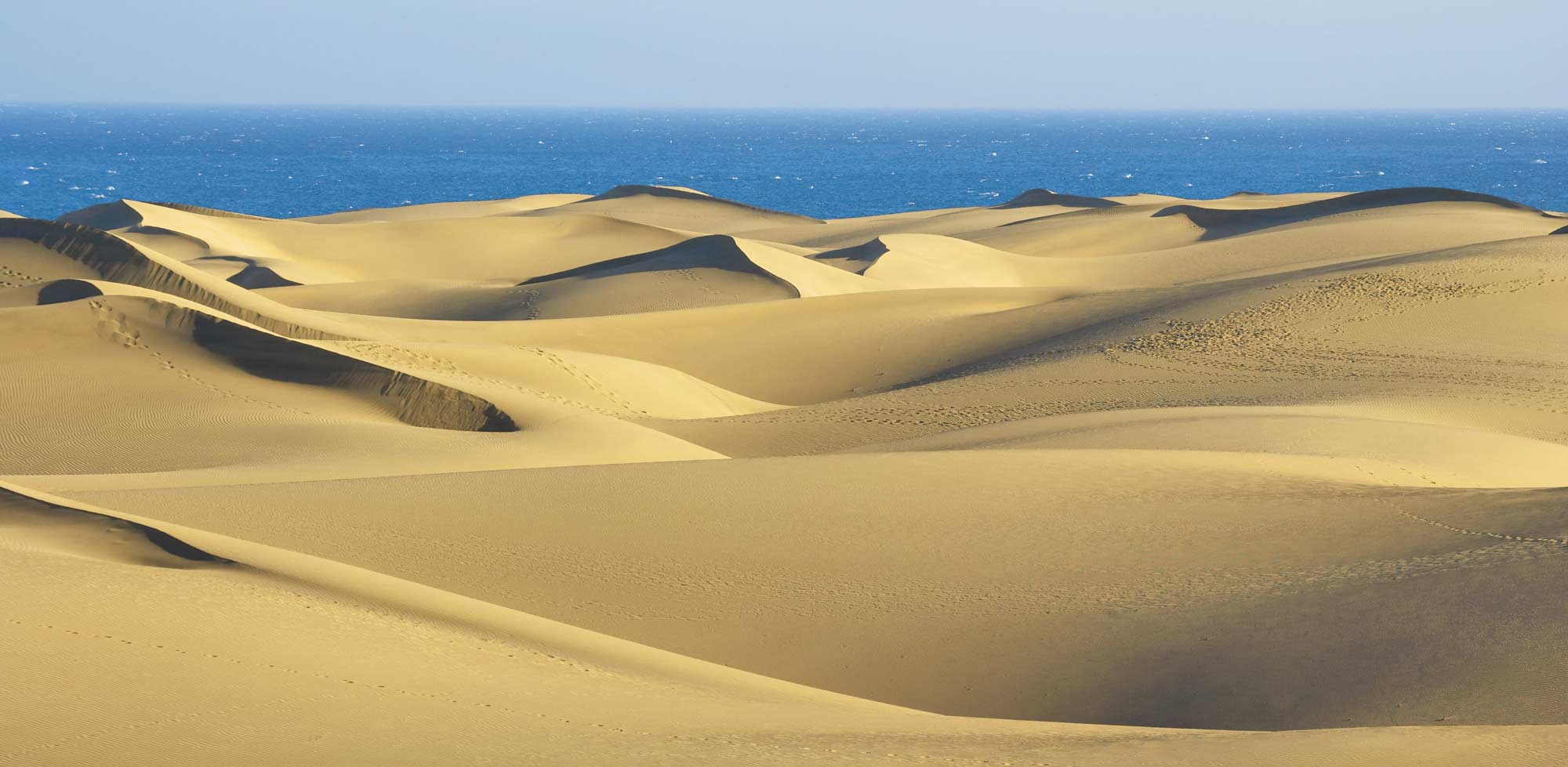 francophones à Gran Canaria